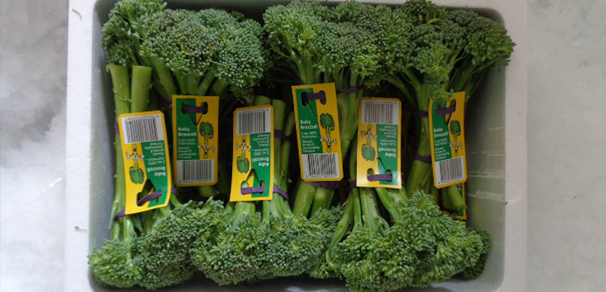Packaged Baby Broccoli